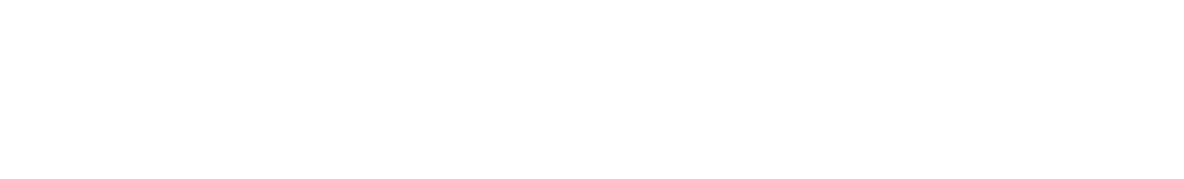 DigistarLite-Logo