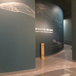 shanghai3_tn