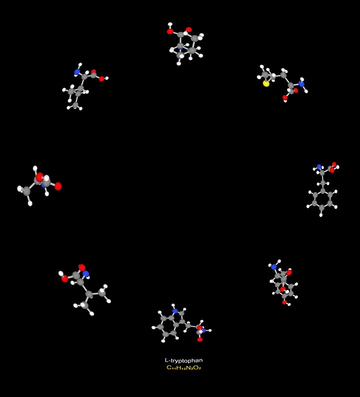 Digistar Steam Library visualization of L-tryptophan molecular structure